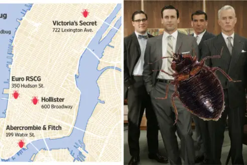 Left: A map of the city's bed bug infestations, courtesy WSJ. Right: Artist representation of the bed bug infestation at a city ad agency.